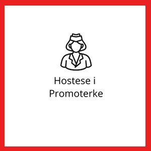 baner-hostese-i-promoterke