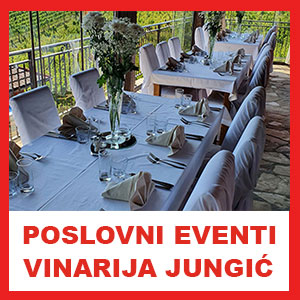 banner-dimitrijevic-i-partners